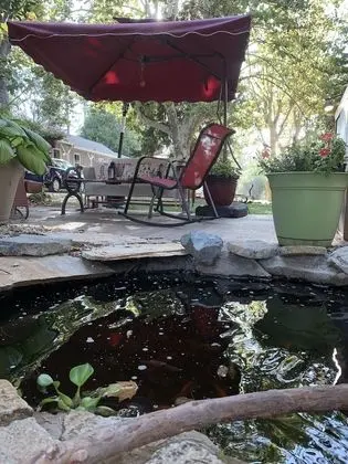 Comfort Kır Evi, 1 Yatak Odası