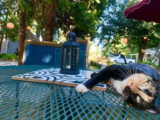 Deluxe Stüdyo Süit, 1 Büyük (Queen) Boy Yatak, Mutfak, Zemin Kat