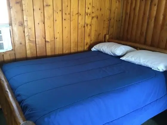 Standard Tek Kişilik Oda, 2 Çift Kişilik Yatak