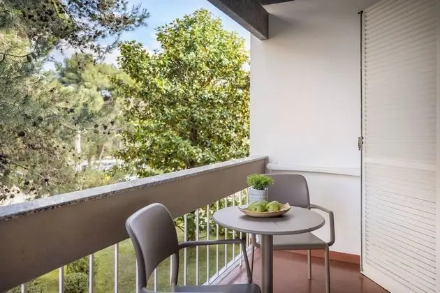 Superior Tek Büyük Yataklı Oda, Balkon, Bahçe Manzaralı