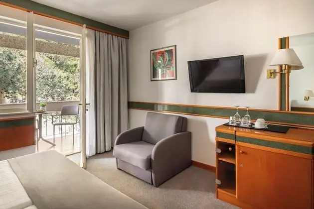 Superior Tek Büyük Yataklı Oda, Balkon, Bahçe Manzaralı