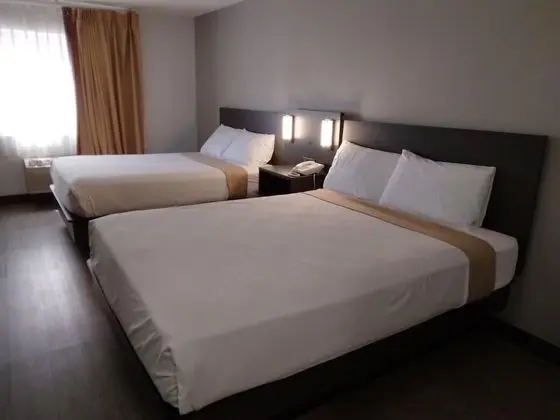 Deluxe Oda, 2 Büyük (Queen) Boy Yatak, Engellilere Uygun, Sigara İçilmez