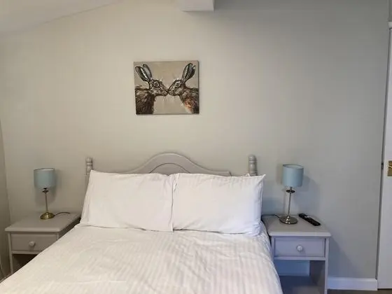 Comfort Tek Büyük Yataklı Oda, Banyolu/Duşlu