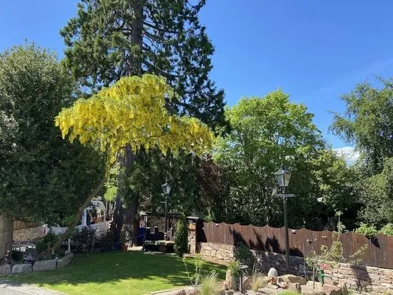 Tek Büyük Yataklı Oda, Banyolu/Duşlu (Skye Room)
