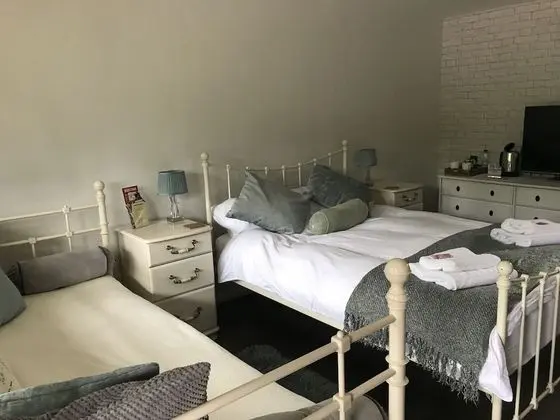 Superior Tek Büyük Yataklı Oda