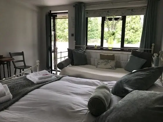 Superior Tek Büyük Yataklı Oda