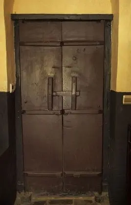 Süit