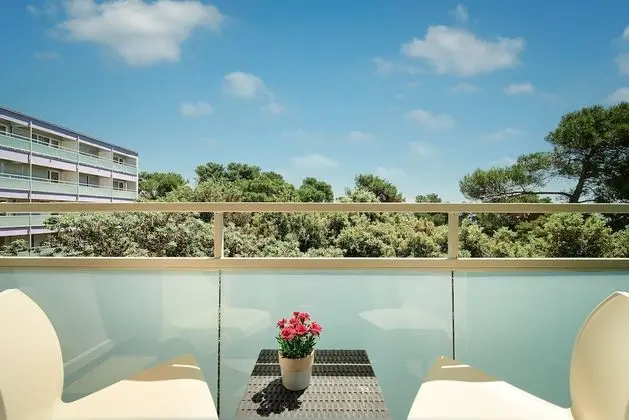 Premium Tek Büyük veya İki Ayrı Yataklı Oda, Balkon