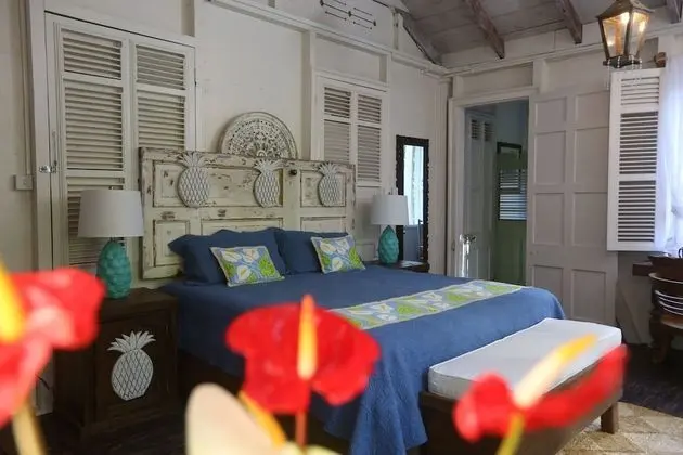 Pineapple Pleasure Room