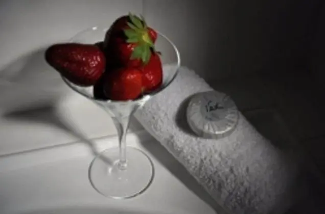 Standard Stüdyo, Sigara İçilmez, Küçük Mutfak (Studio Hotel Room)