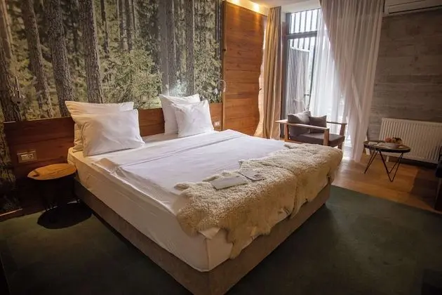 Standard Oda, 1 Büyük (Queen) Boy Yatak, Sigara İçilmez, Balkon