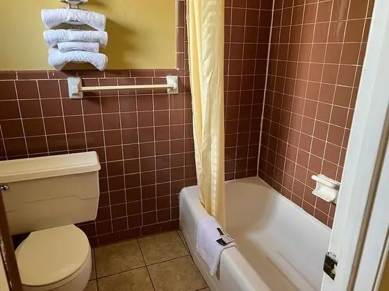 Standard Tek Kişilik Oda, 1 En Büyük (King) Boy Yatak, Sigara İçilmez