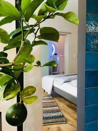 Deluxe Stüdyo