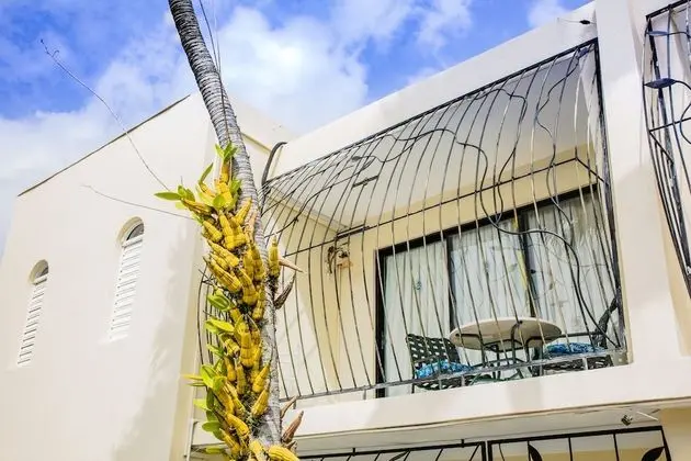 Stüdyo, Veranda, Havuz Manzaralı