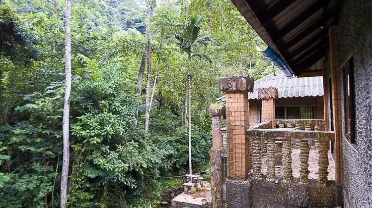 Standard Double Room with Nature View