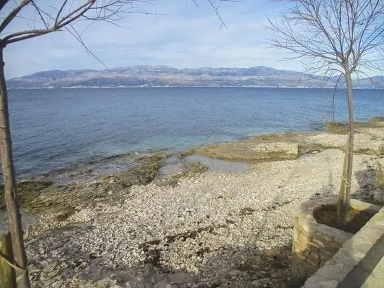 Apart Daire, 1 Büyük (Queen) Boy Yatak