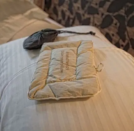 Design Oda, Şömine, Dağ Manzaralı