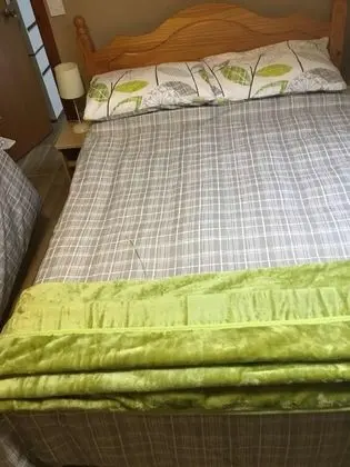 Business Tek Büyük Yataklı Oda, Banyolu/Duşlu (5&6)