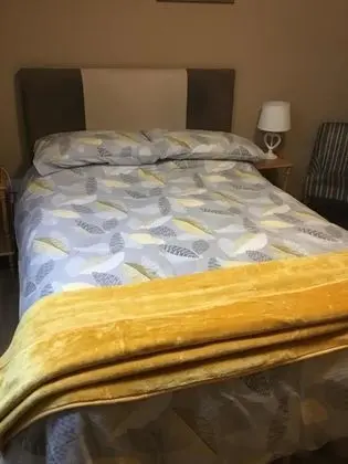 Business Tek Büyük Yataklı Oda, Banyolu/Duşlu (5&6)