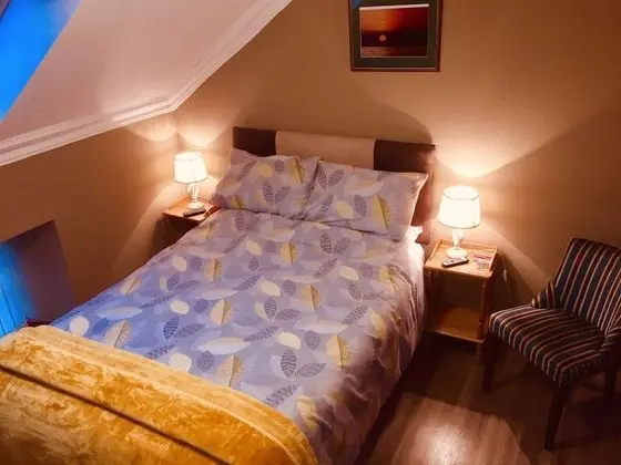 Business Tek Büyük Yataklı Oda, Banyolu/Duşlu (5&6)