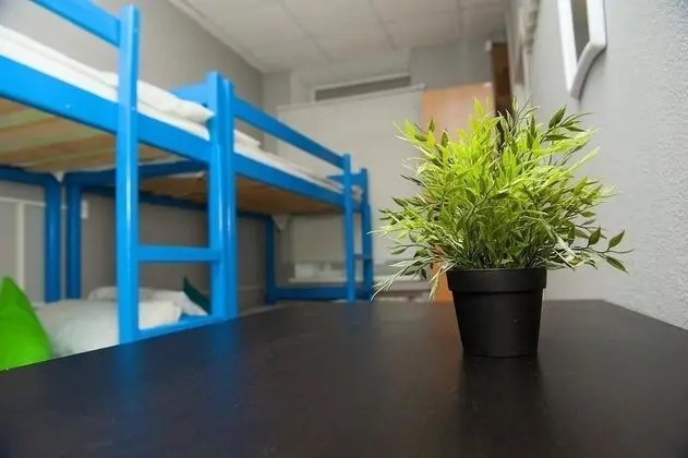 Ortak Ranzalı Oda, Karma Ranzalı Oda (6 guests)