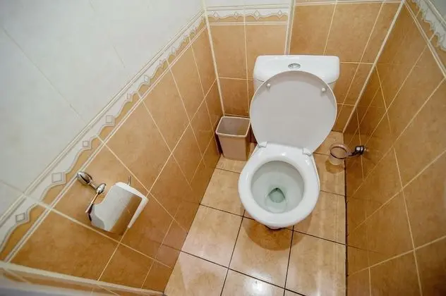 Apart Daire (Pushkinskaya str. 6)