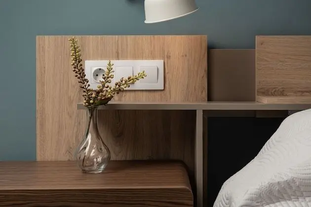 Deluxe Stüdyo Süit, 1 Yatak Odası, Sigara İçilmez, Özel Banyo