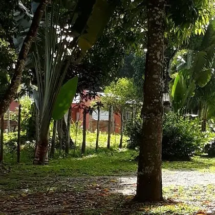 Apart Daire, 3 Yatak Odası, Sigara İçilebilir, Buzdolabı