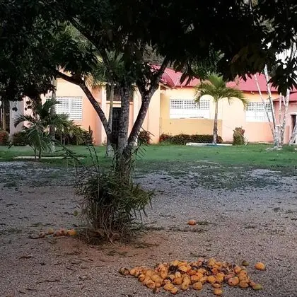 Apart Daire, 3 Yatak Odası, Sigara İçilebilir, Buzdolabı