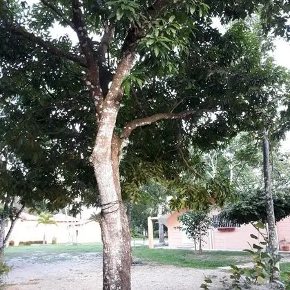 Apart Daire, 3 Yatak Odası, Sigara İçilebilir, Buzdolabı