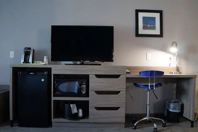 Deluxe Tek Kişilik Oda, 1 En Büyük (King) Boy Yatak, Sigara İçilmez
