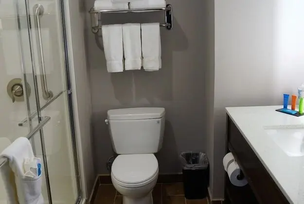 Deluxe Tek Kişilik Oda, 1 En Büyük (King) Boy Yatak, Sigara İçilmez