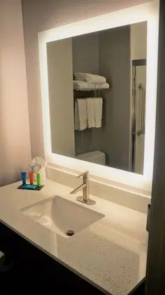 Deluxe Tek Kişilik Oda, 1 En Büyük (King) Boy Yatak, Sigara İçilmez