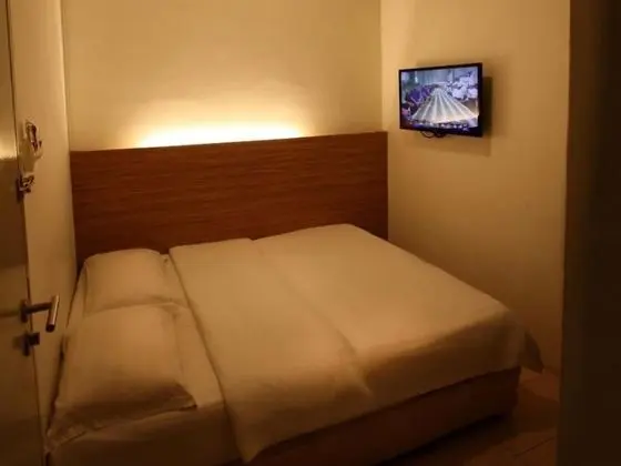 Standard Tek Büyük Yataklı Oda (Large)