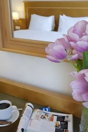 Deluxe Oda (Acropolis View)