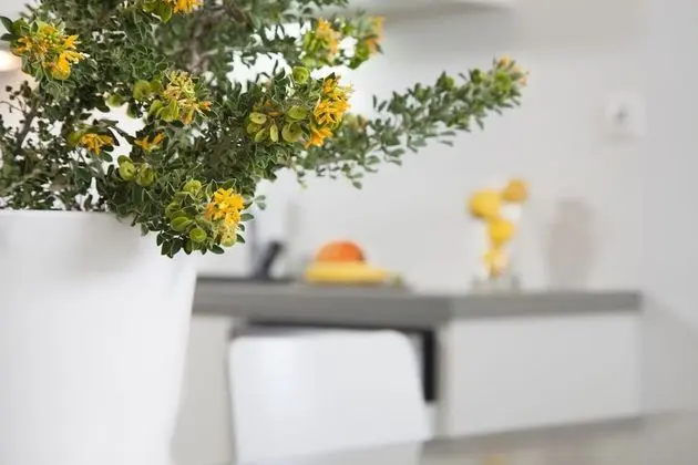 Design Villa, 4 Yatak Odası, Okyanus Manzaralı (Levanda)