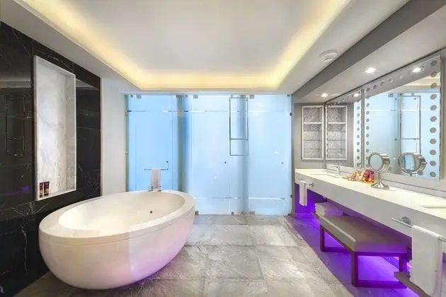 Directors Suite One Bedroom