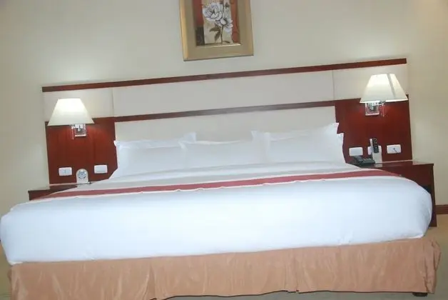 Deluxe Tek Büyük Yataklı Oda, Şehir Manzaralı