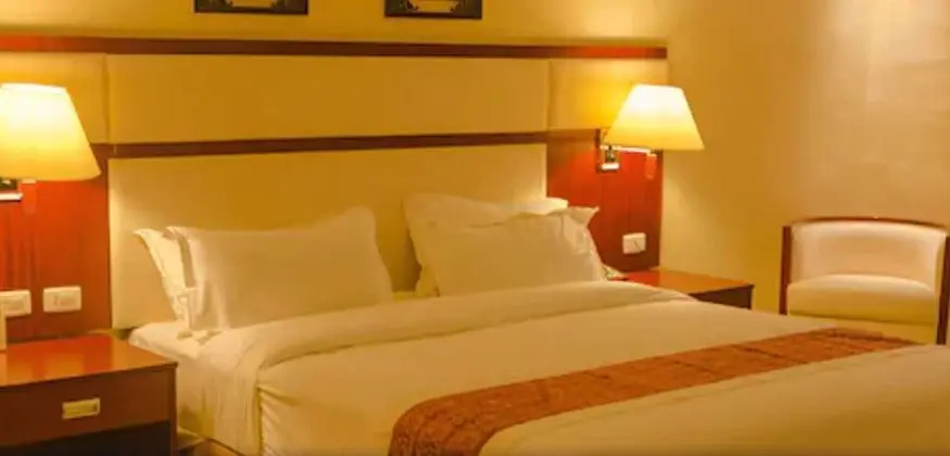 Deluxe Tek Büyük Yataklı Oda, Şehir Manzaralı