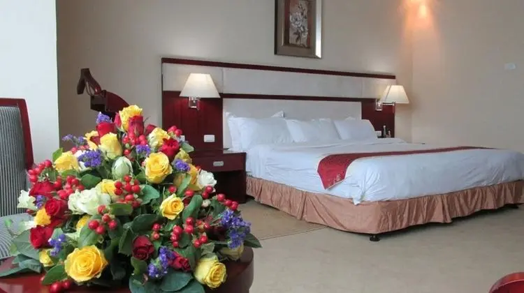 Deluxe Tek Büyük Yataklı Oda, Şehir Manzaralı