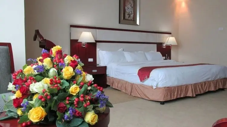 Tek Büyük Yataklı Oda, Şehir Manzaralı