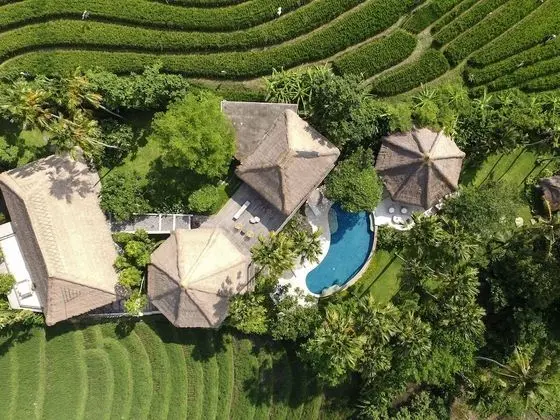 Villa, 5 Yatak Odası, Havuz Manzaralı