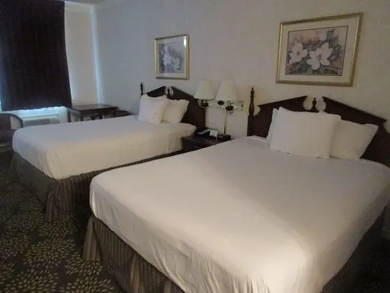 Tek Büyük Yataklı Oda, 2 Büyük (Queen) Boy Yatak, Sigara İçilmez (Pet Friendly)