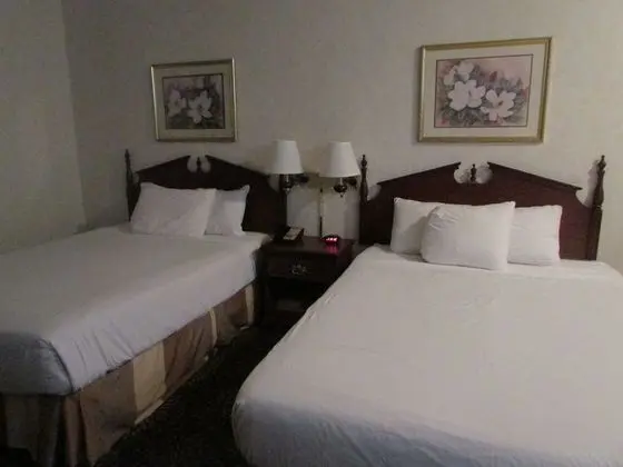 Tek Büyük Yataklı Oda, 2 Büyük (Queen) Boy Yatak, Sigara İçilmez (Pet Friendly)