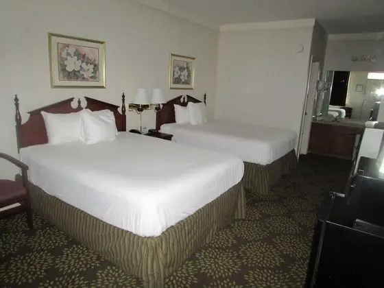 Tek Büyük Yataklı Oda, 2 Büyük (Queen) Boy Yatak, Sigara İçilmez (Pet Friendly)