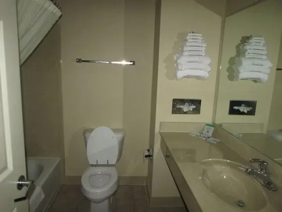 Tek Büyük Yataklı Oda, 2 Büyük (Queen) Boy Yatak, Sigara İçilmez (Pet Friendly)