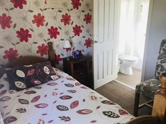 Tek Büyük Yataklı Oda, Özel Banyo (Room 2)