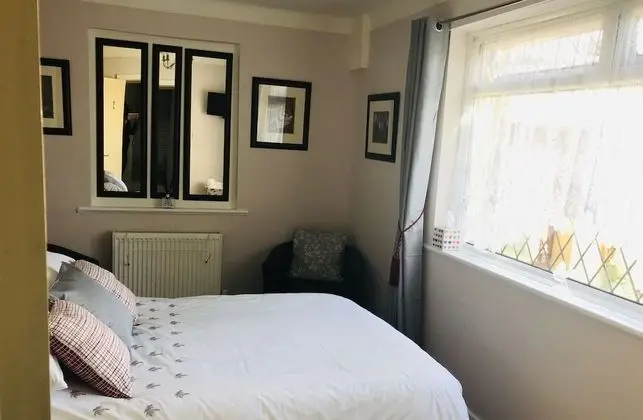 Tek Büyük Yataklı Oda, Özel Banyo (Room 2)