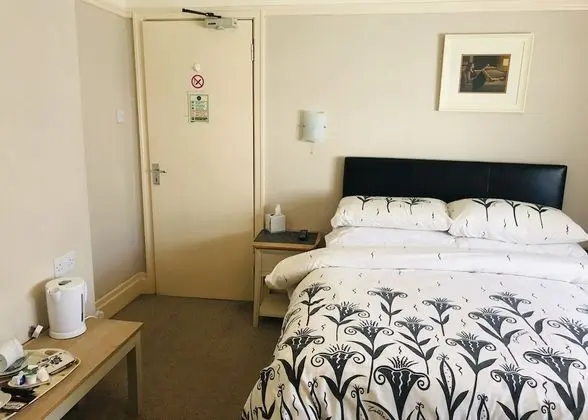 Tek Büyük Yataklı Oda, Özel Banyo (Room 3)