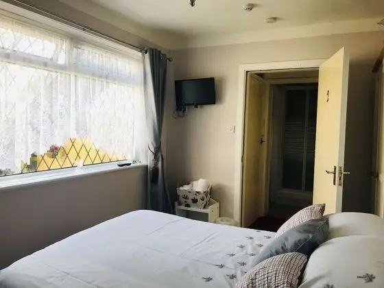 Tek Büyük Yataklı Oda, Özel Banyo (Room 3)